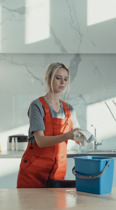 Bridge Logistic Maintenance 