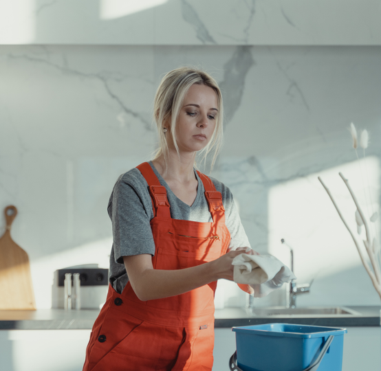 Bridge Logistic Maintenance 